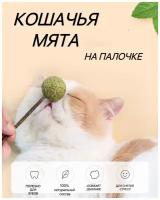 Игрушка для кошек из натуральной кошачьей мяты шарик/Мятный мячик/Шар из кошачьей мяты