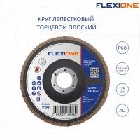 Круг лепестковый плоский Flexione Ø125х22,23 мм Р60