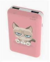 Внешний аккумулятор RITMIX RPB-10007 Grumpy Cat