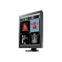 21.3" Монитор Eizo RadiForce RS340, 2048x1536, 71 Гц, IPS