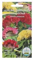 Семена Цветов однолетние Целозия "Смесь окрасок", гребенчатая, низкорослая, 0,1 г