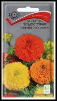 Бархатцы Махровые смесь окрасок прямост. 0,5гр. (Поиск)