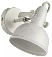 Спот Arte Lamp Martin A5213AP-1WG