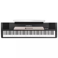Цифровое пианино Kurzweil Mark-Pro ONEiS