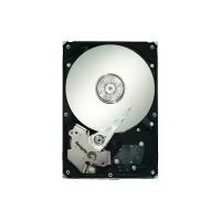 Жесткий диск Seagate ST3250310NS