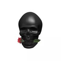 Ed Hardy туалетная вода Skulls & Roses for Him