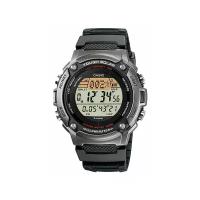 Наручные часы CASIO W-S200H-1A