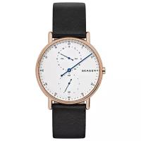 Наручные часы SKAGEN Signatur SKW6390, золотой