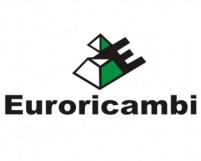 EURORICAMBI 30170415 EU30170415_крестовина дифференциала! \Iveco EuroTrakker