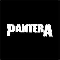 Наклейка на авто 20x5 Pantera