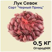 Лук Севок сорт "Черный принц"