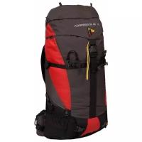 Рюкзак BASK Agressor V2 45 grey/red