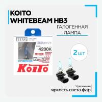 Лампа автомобильная галогенная KOITO - НВ3 - WhiteBeam III 4200K (12v 65w) (2 шт.)