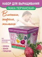 Подарочный набор для выращивания "Мака перуанская"