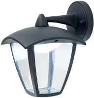 Уличный настенный светильник светодиодный Citilux CLU04W2 прозрачный черный