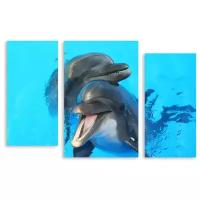 Модульная картина на холсте "Дельфины" 90x59 см