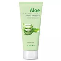 DR.PHAMOR легкая пенка для удаления макияжа на основе сока алоэ и матэ Aloe Real Natural Essence Foam Cleanser