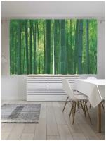 Классические шторы JoyArty "Лесной бамбук", серия Oxford DeLux, 2 полотна 145x180 см