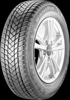 GT Radial WinterPro 2 Зима Нешипованные 195/55 R16 91H [TL, XL]