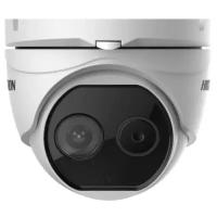 IP камера Hikvision DS-2TD1217-3/V1