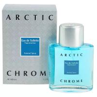 Туалетная вода мужская ARCTIC CHROME, 100 мл