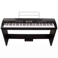 Цифровое пианино Medeli SP4200+stand черный