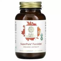 Pure Synergy, SuperPure Fucoidan, 60 Capsules