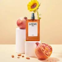 Вода парфюмерная Loewe Solo Ella