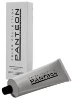 Panteon - Пантеон Стойкая крем-краска для волос, 100 мл - PANTEON 5.1 Тёмно-русый пепельный