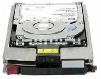 Жесткий диск HP STORAGEWORKS EVA M6412 450GB 15K RPM FC BF450DAJZR