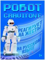 Робот игрушка радиоуправляемый IQ BOT GRAVITONE