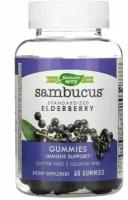 Nature's Way, Sambucus, стандартизированный экстракт бузины, 60 жевательных таблеток