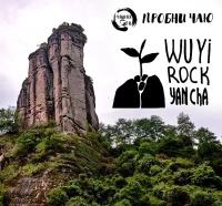 Сэт "Пробни чаю" WuYi Rock (4 великих куста У И шань)