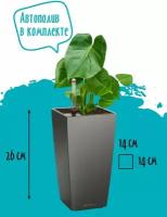 Кашпо Lechuza MAXI CUBI - Table planters, с автополивом и субстратом