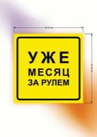 Наклейка на машину/авто/оригинальный стикер/на автомобиль уже месяц за рулем