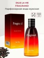 Парфюмерная вода мужская DILIS "Fragrand" 100 мл Дилис мужские духи фаренгейт ароматы для него