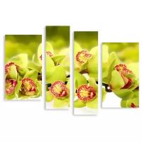 Модульная картина на холсте "Зеленые орхидеи" 120x83 см
