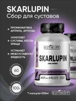 SKARLUPIN препарат для суставов, связок и хрящей, натуральный состав, фитосбор, пищевая добавка 60 капсул