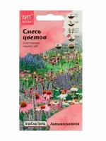 Семена Смесь многолетних цветов Антимоскитная 1 г - овсяница сизая видовая норма, лофант Эрика, лаванда Южанка, эхинацея пурпурная Красная шляпа