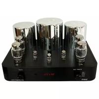 Интегральный усилитель стерео Ayon Audio Spirit