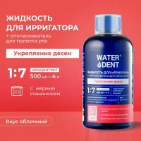 Жидкость для ирригатора 2 в 1 WATERDENT укрепление десен 500 мл