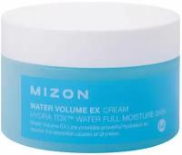 MIZON Water Volume EX Cream Увлажняющий крем со снежными водорослями