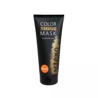 Artego Маска Color Shine Mask Melon для Тонирования Дыня, 200 мл