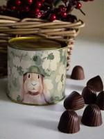 Шоколадные конфеты "Кролик - боец" Ян