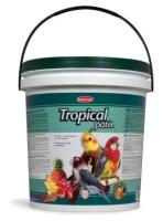 Padovan корм Tropical Patee с фруктами для средних попугаев