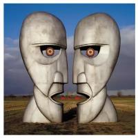 Виниловая пластинка Warner Music PINK FLOYD THE DIVISION BELL