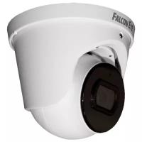 IP камера Falcon Eye FE-IPC-D5-30pa