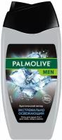 Palmolive Men Гель для душа 3в1 Арктический ветер 250мл