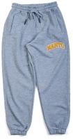 Спортивные штаны Manto Varsity Grey (XXL)