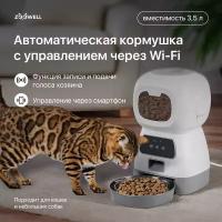 Умная автоматическая кормушка для сухого корма Робот с WI-Fi и приложением для смартфона ZOOWELL, миска для животных, 32*17*30